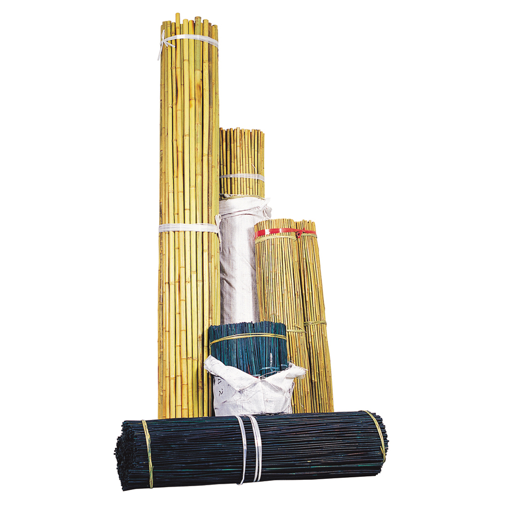 Details about   4' Natural Bamboo Stakes Garden Stakes 500 per Bundle 3/8" Diameter 